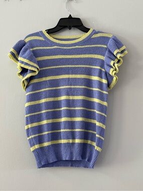 Anniewear  Periwinkle and Yellow Striped Knit Top